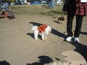 halloween 2010 018